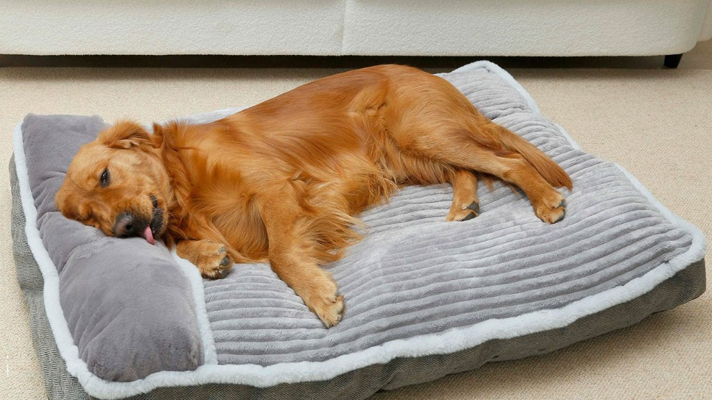 Dog Beds