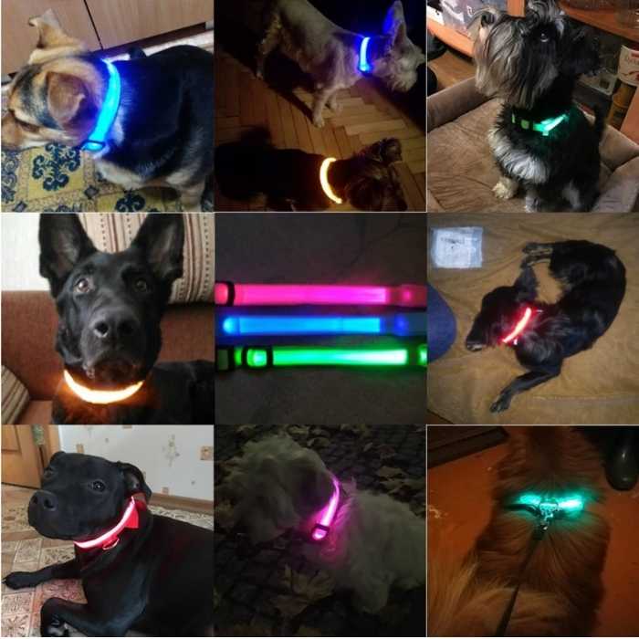 LED Dog Collar Nylon Glow in the Dark – Flashing Safety Pet Accessory for Dogs