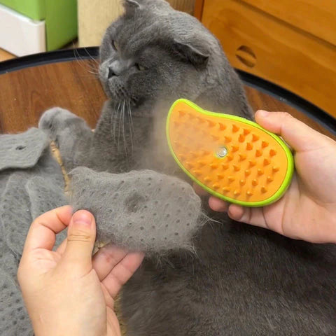 Pet Grooming Brush with Water Spray – Grooming Tool for Pets