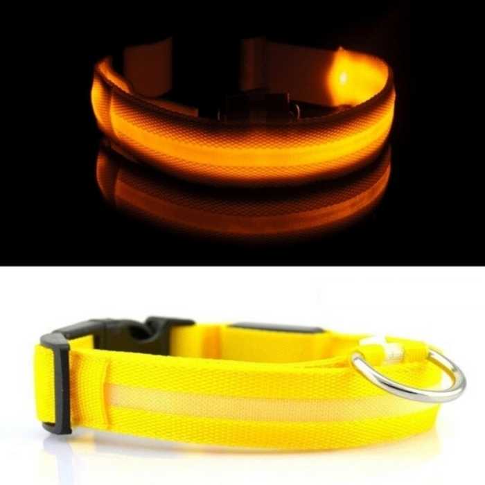 LED Dog Collar Nylon Glow in the Dark – Flashing Safety Pet Accessory for Dogs