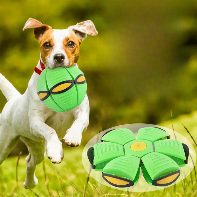 Flying Saucer Bouncing Ball – Durable Elastic Dog Toy for Outdoor Exercise & Family Fun