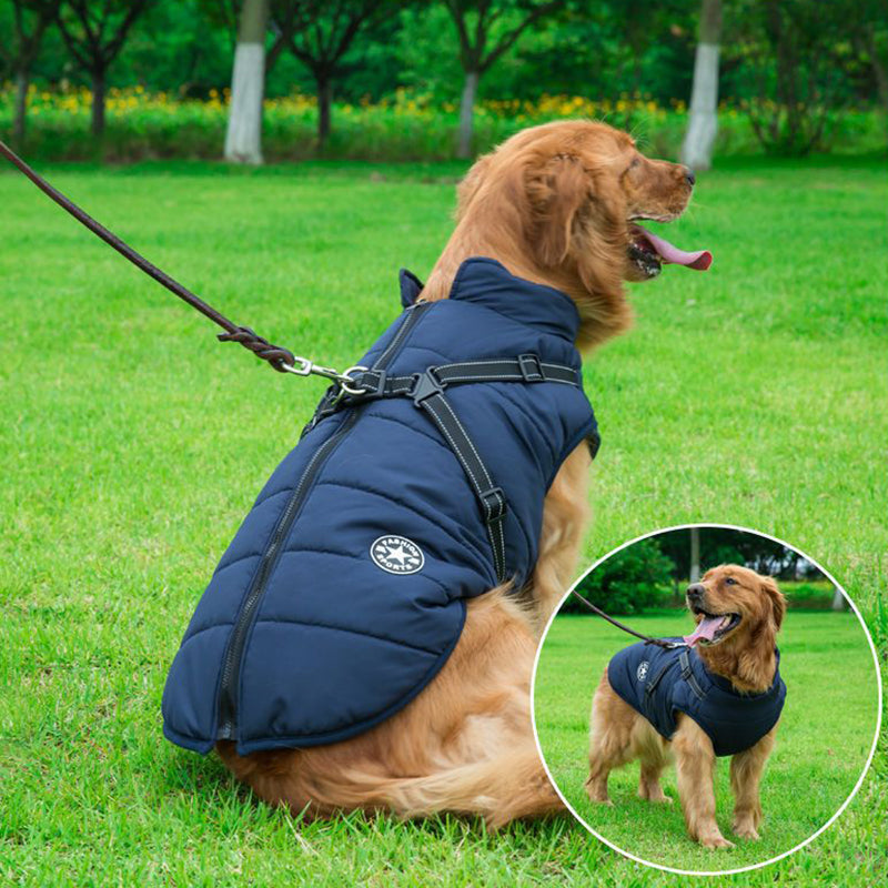 Cozy Winter Dog Jacket – Fleece, Waterproof, Harness-Ready for Small Breeds