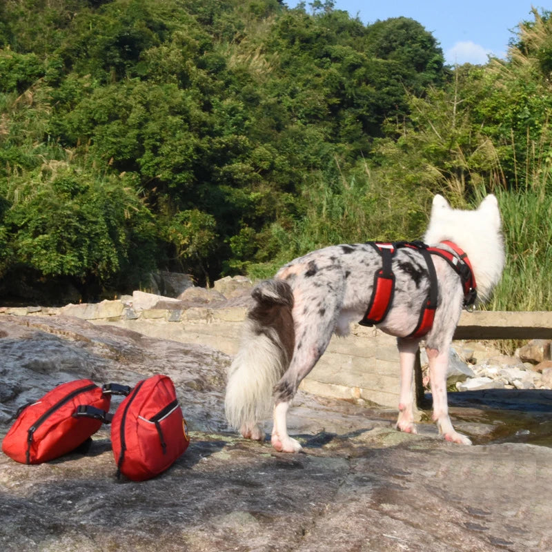 Dog Backpack Harness – Outdoor Travel & Hiking Vest for Dogs