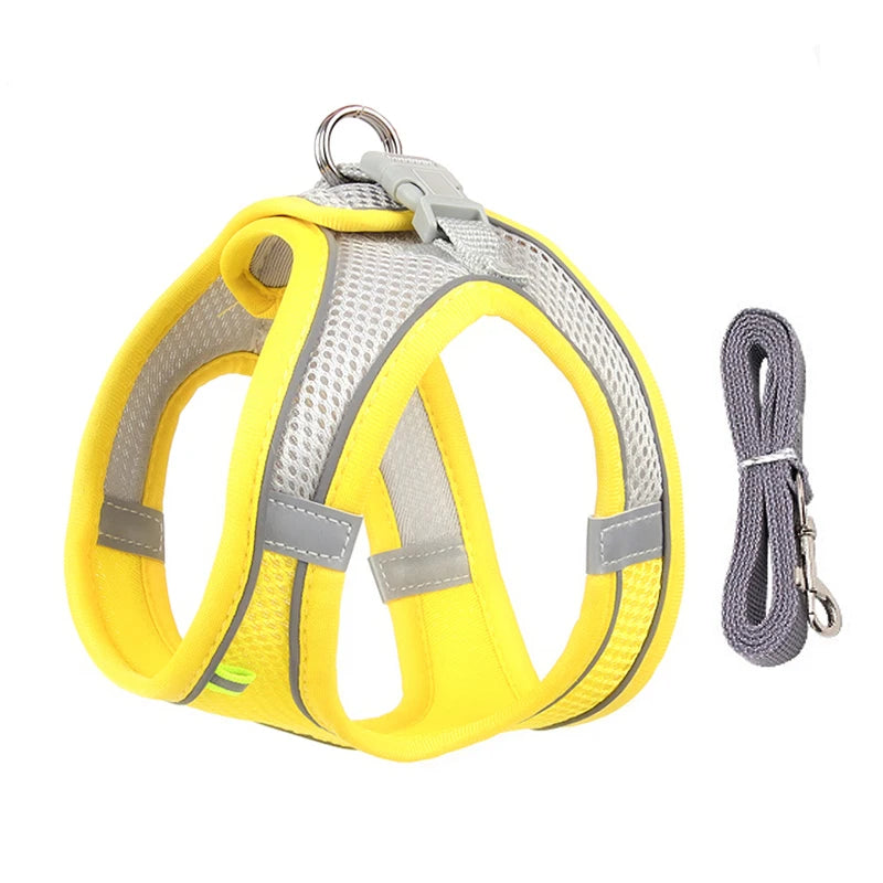 Dog Adjustable Harness & Leash Set