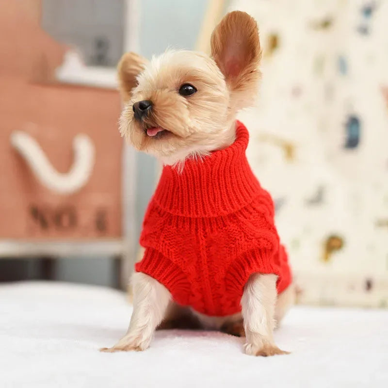 Dog Winter Sweater – Warm Clothes for Dogs