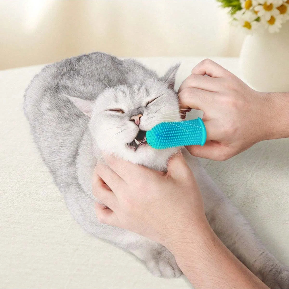 Silicone Toothbrush - Super Soft, Perfect for Dogs & Cats