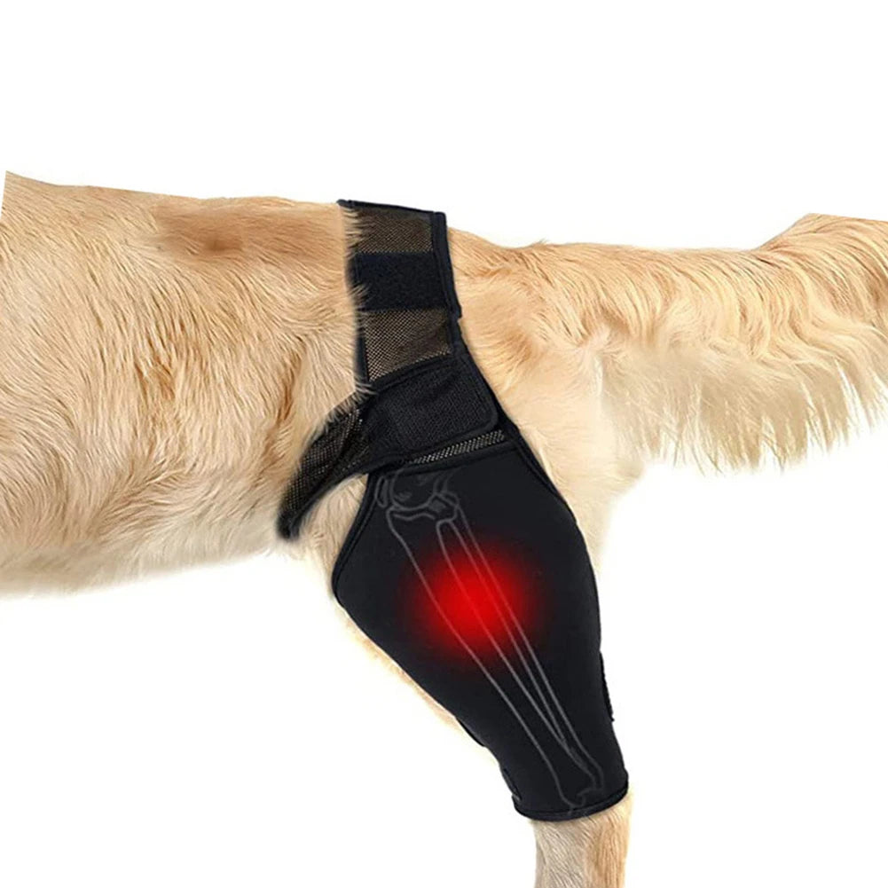 Hip & Knee Brace For Dogs - Made With Breathable & Elastic Fabric