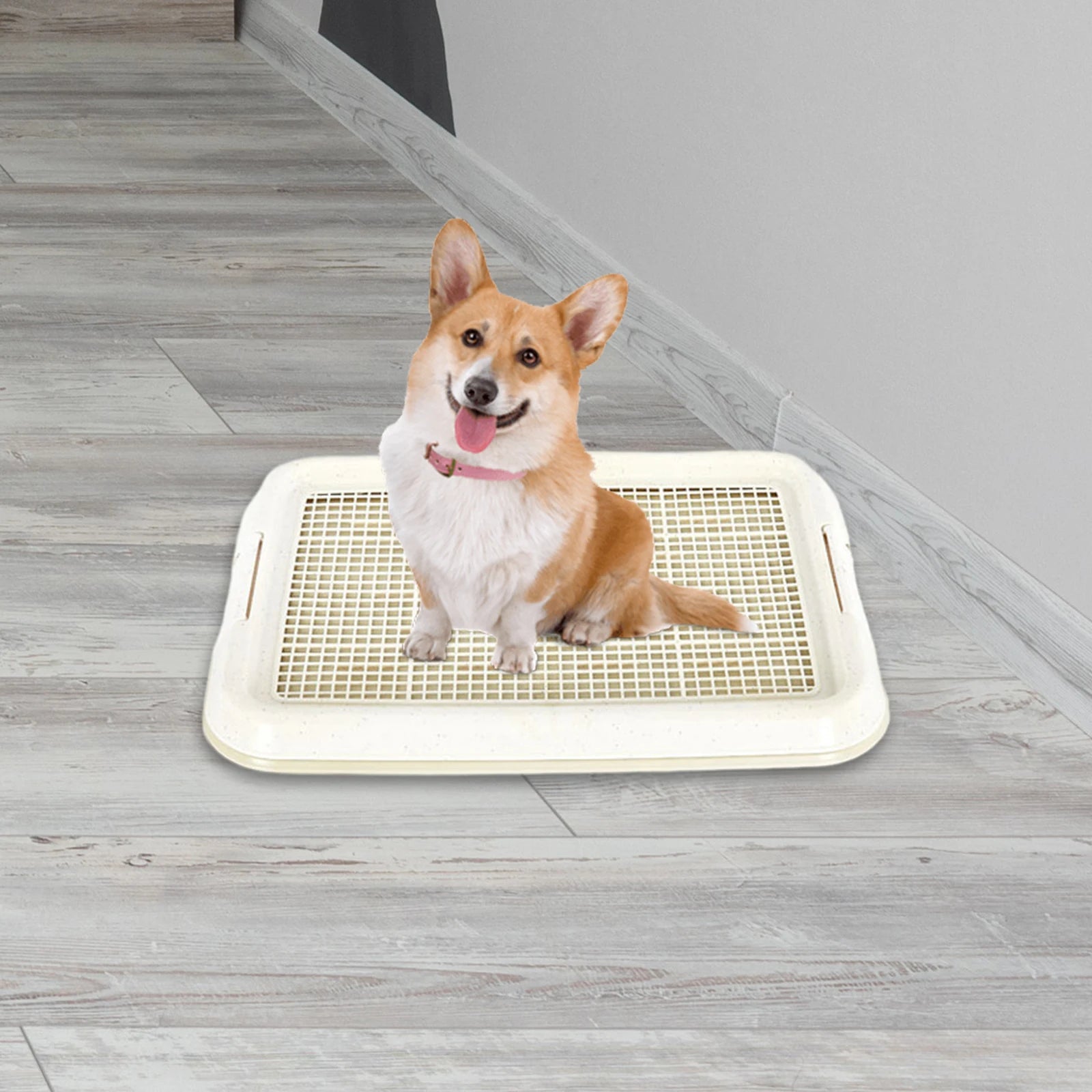 Dog Toilet Anti Slip - Removable Mesh Potty Training Tray, Puppy Pee Pad Holder