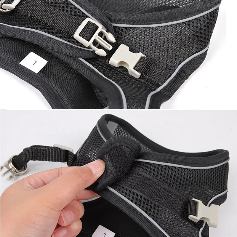 Dog Adjustable Harness & Leash Set