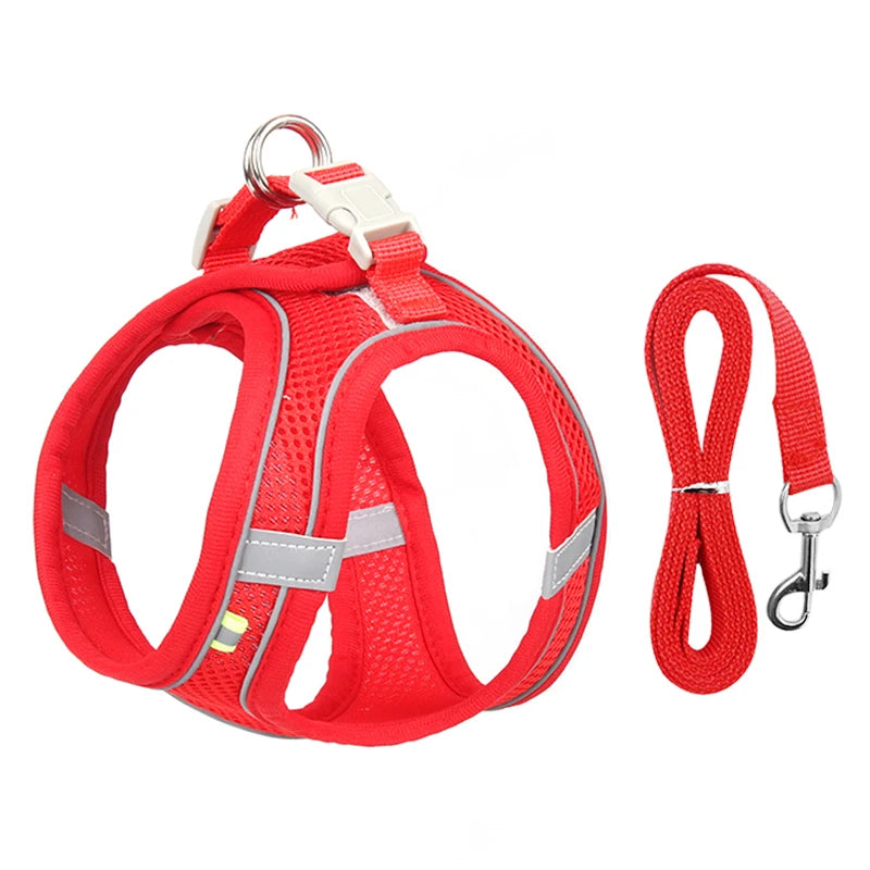 Dog Adjustable Harness & Leash Set