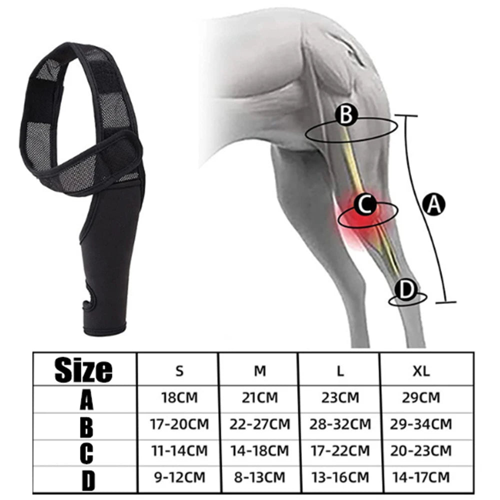 Hip & Knee Brace For Dogs - Made With Breathable & Elastic Fabric