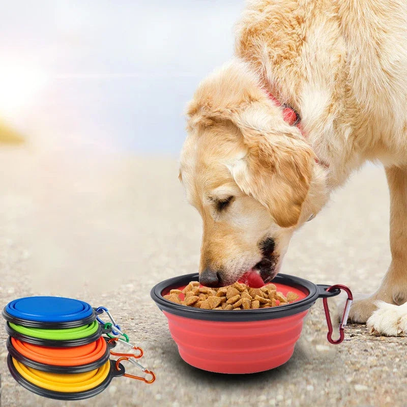 Dog Collapsible Silicone Bowl – Portable Travel Feeder, 350mL