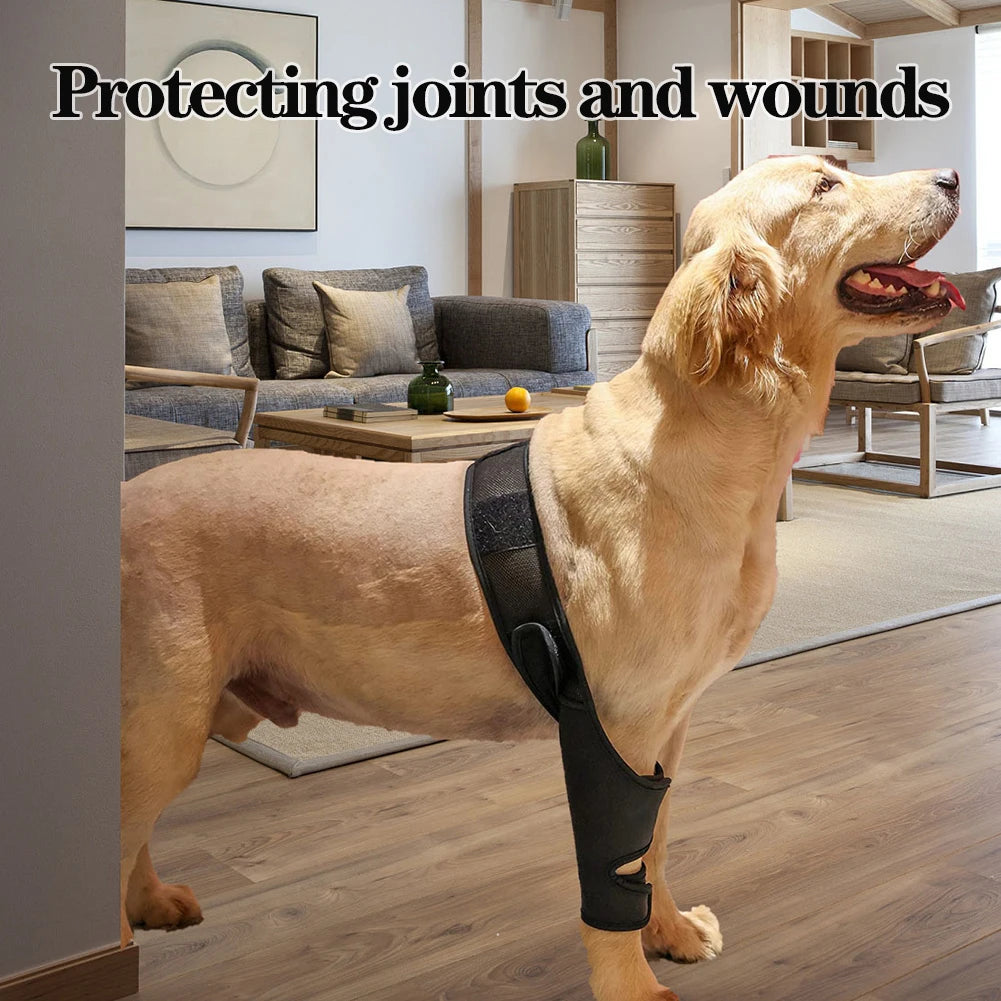 Hip & Knee Brace For Dogs - Made With Breathable & Elastic Fabric