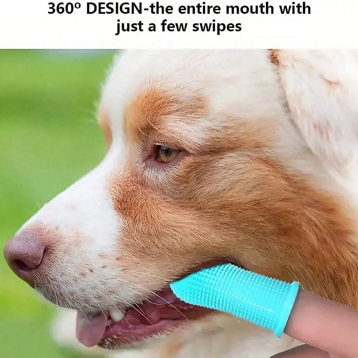Silicone Toothbrush - Super Soft, Perfect for Dogs & Cats