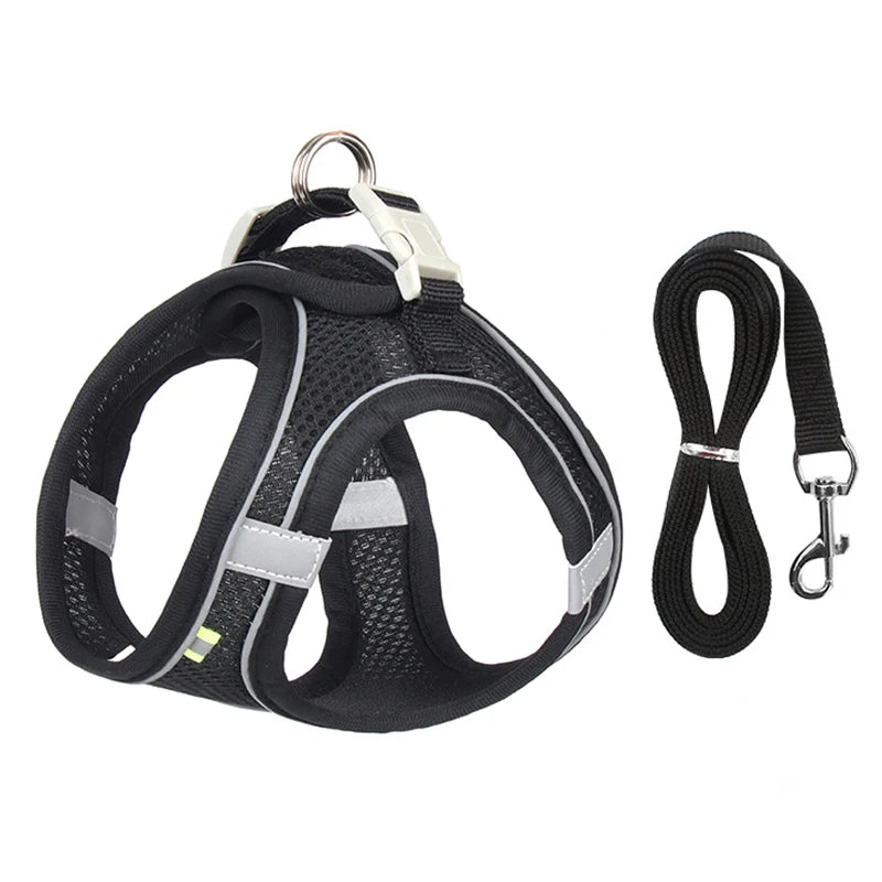 Dog Adjustable Harness & Leash Set