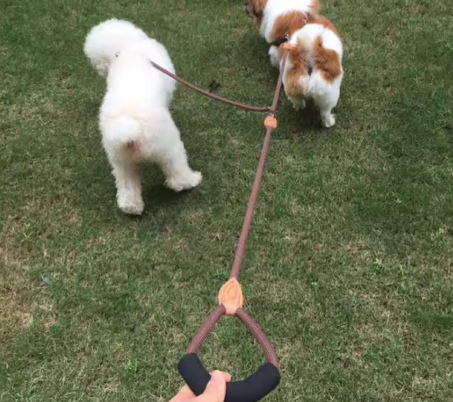 Double Dog Leashes - Walk 2 Dogs Leash, Small Dog Leash, Comfortable Foam Handle