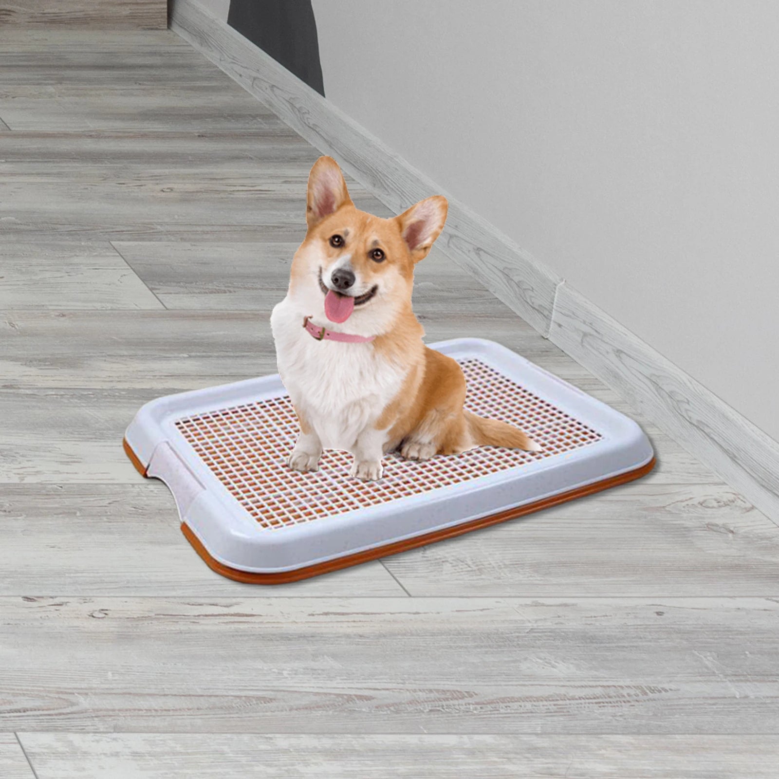Dog Toilet Anti Slip - Removable Mesh Potty Training Tray, Puppy Pee Pad Holder