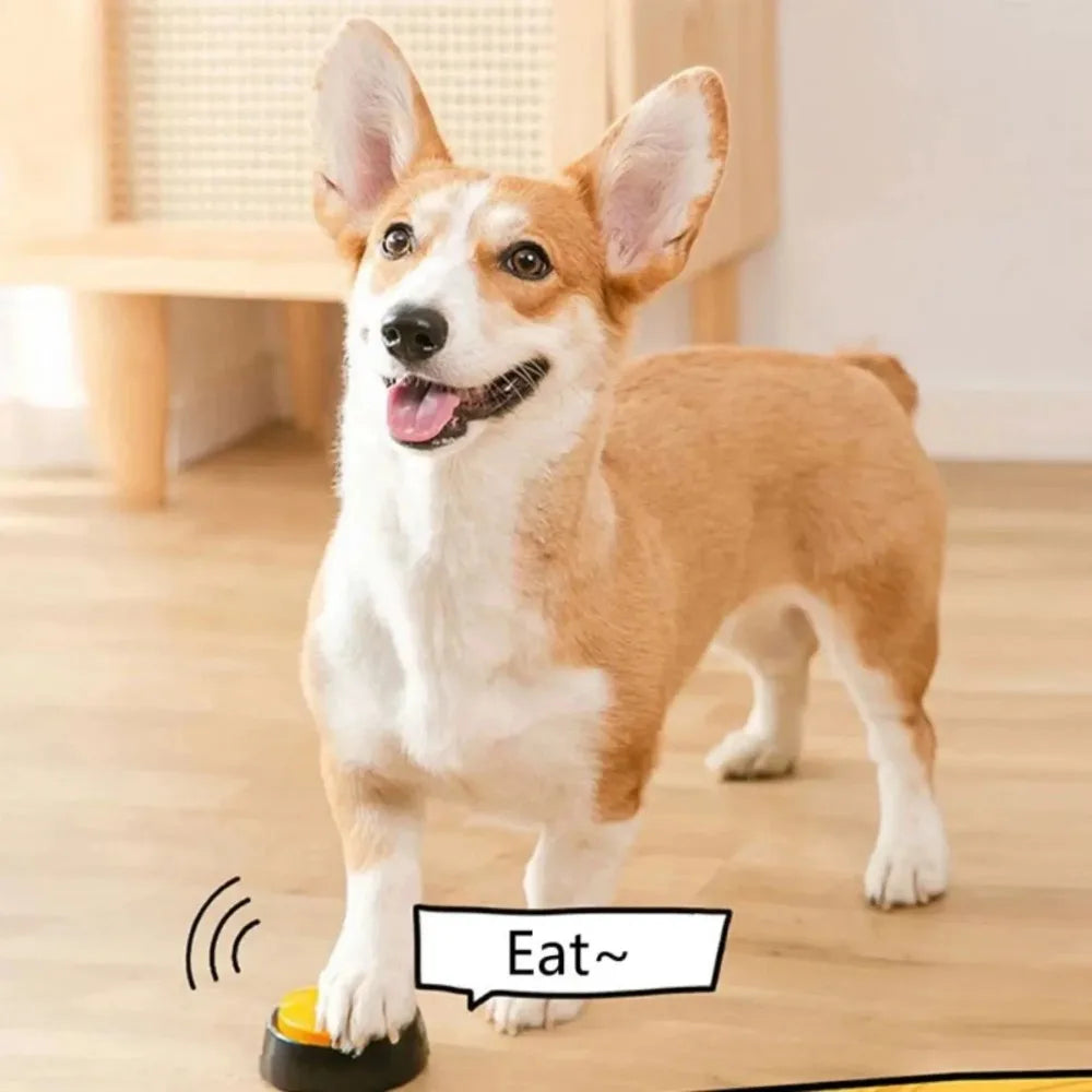 Dog Talking Buttons with 30-Second Voice Playback for Training & Fun
