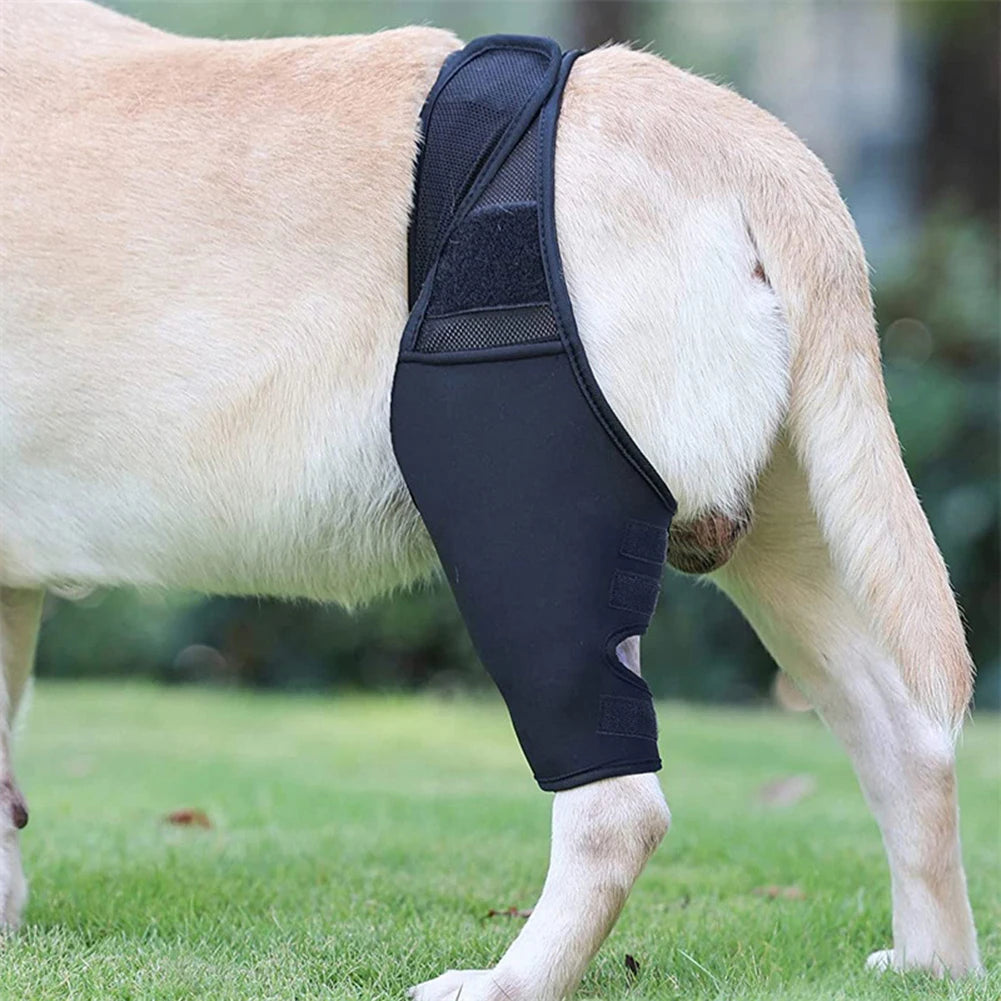 Hip & Knee Brace For Dogs - Made With Breathable & Elastic Fabric