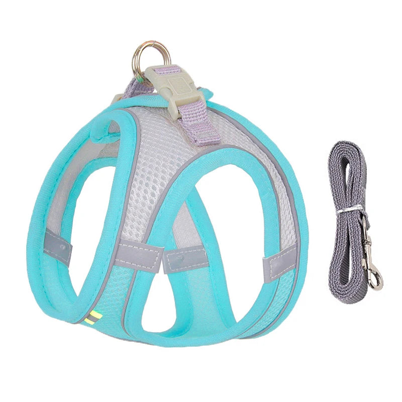 Dog Adjustable Harness & Leash Set