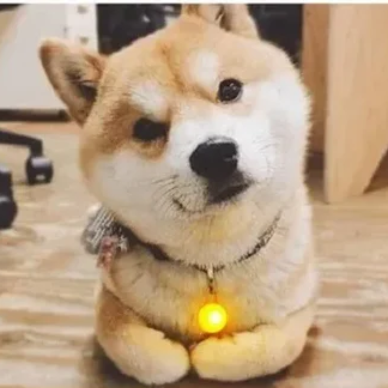 Dog LED Collar Pendant – Luminous Night Safety Necklace