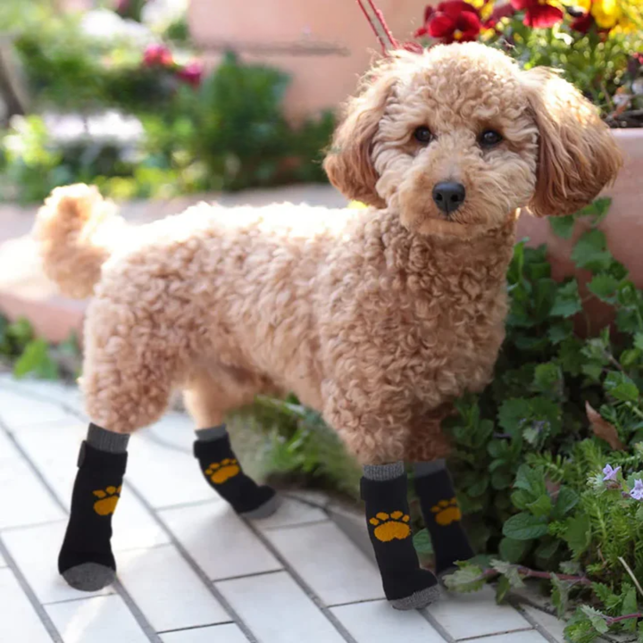 Dog Anti-Slip Socks with Rubber Grip – Indoor Paw Protectors