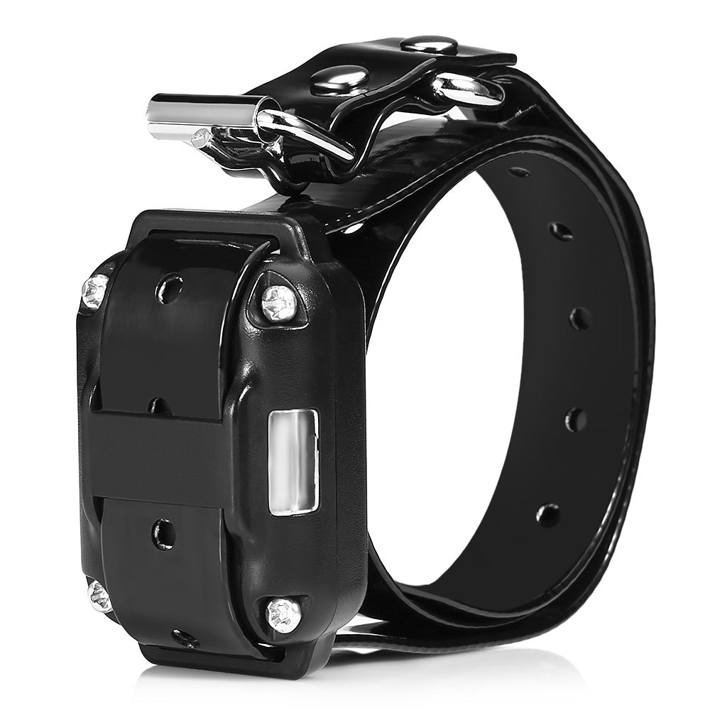 Dog Training Collar with 99 Levels, Beep, Vibration & Shock Modes, LCD Display