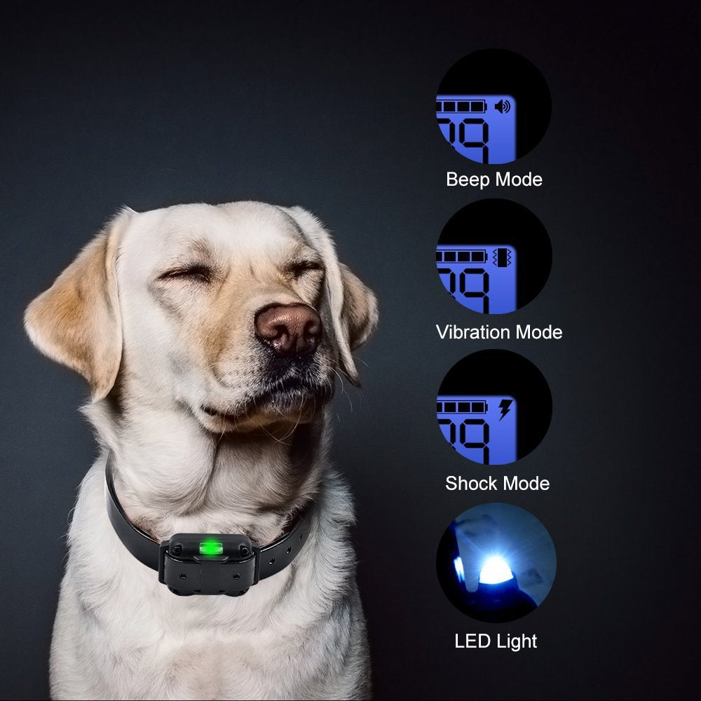 Dog Training Collar with 99 Levels, Beep, Vibration & Shock Modes, LCD Display
