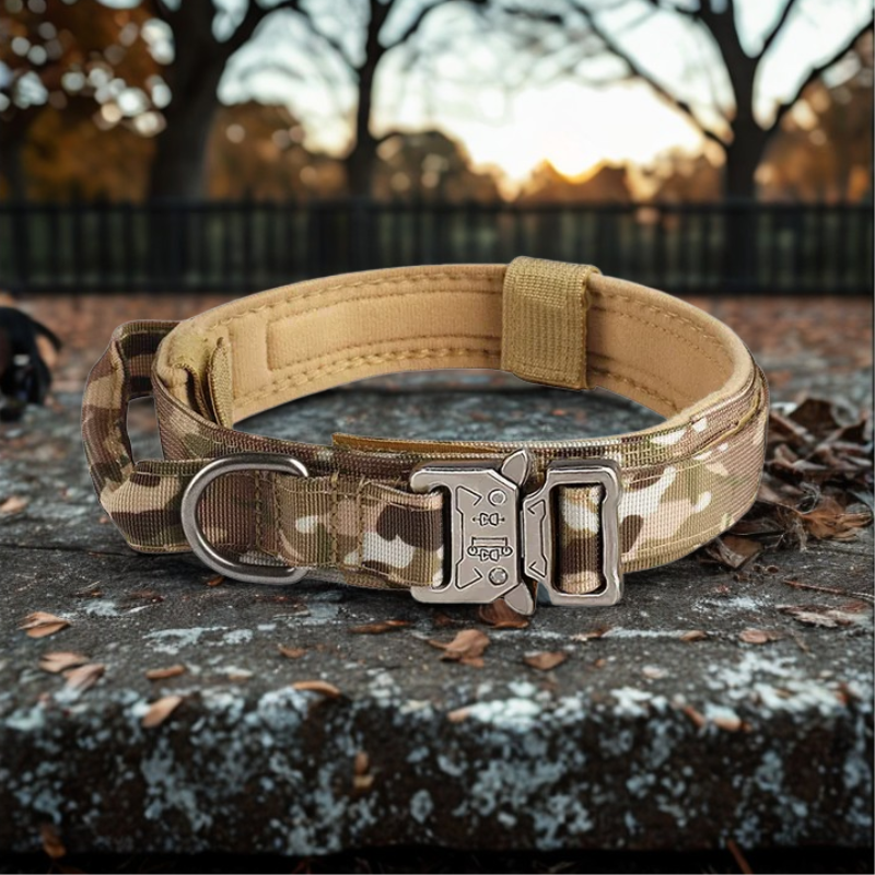 Dog Collar with Metal Buckle – Breathable Nylon Training Collar for Medium & Large Dogs