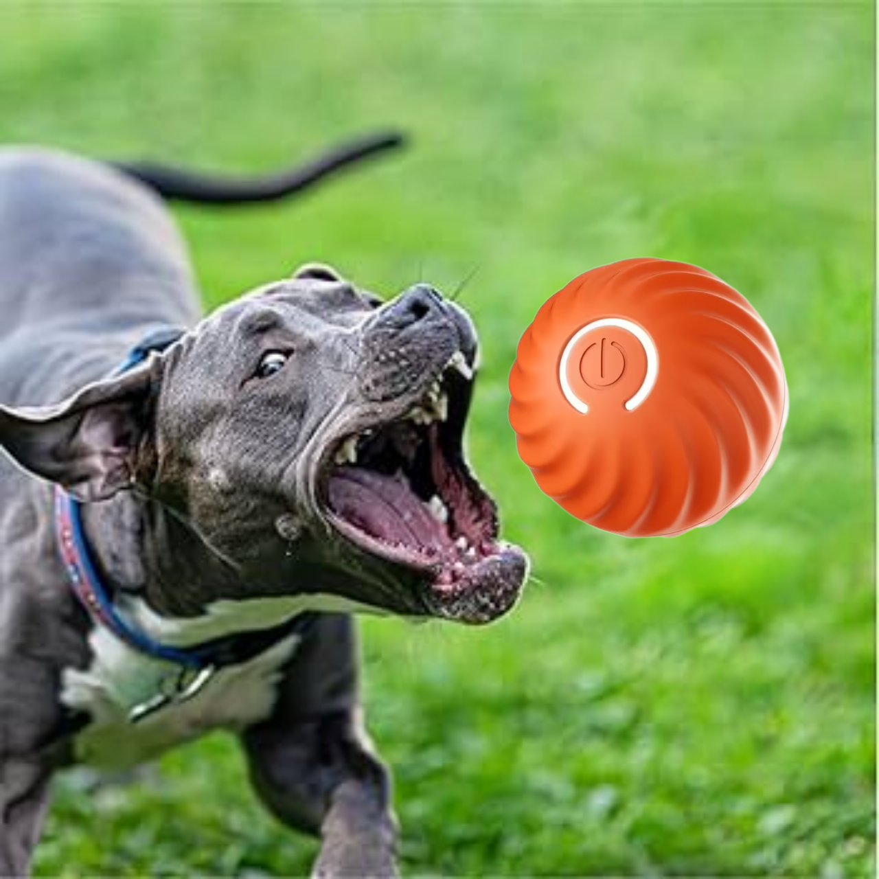 Smart Dog Toy Ball – Automatic, Rechargeable, Training & Play