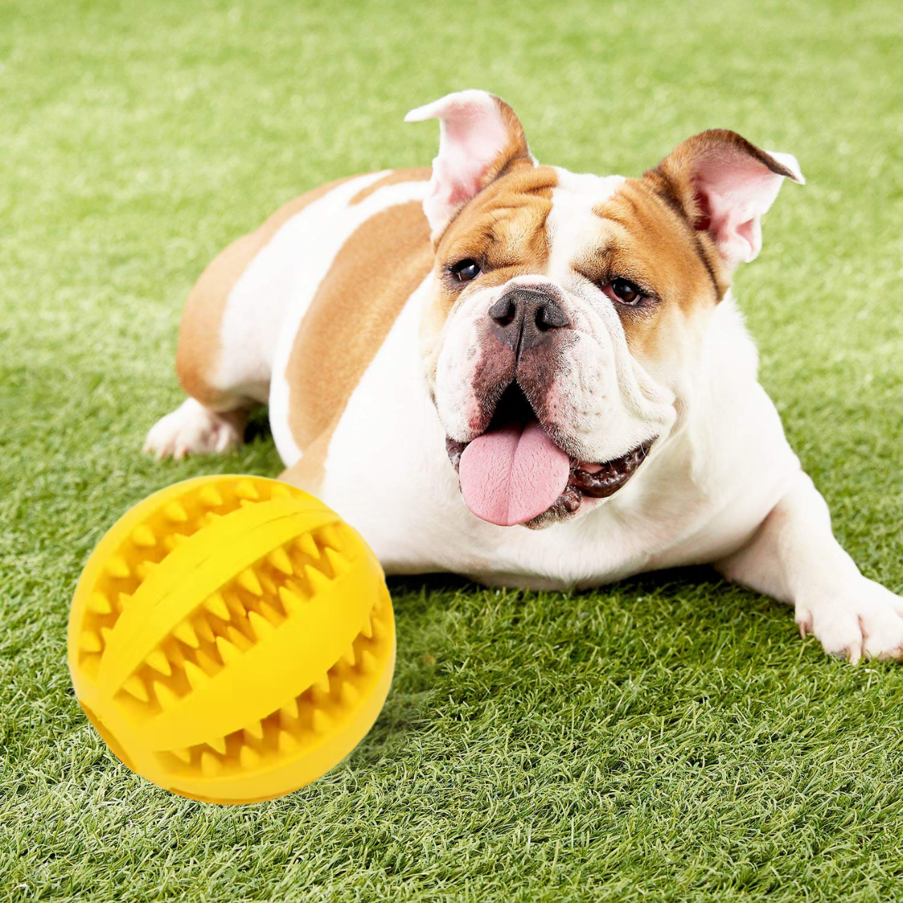 Rubber Dog Chew Toy – Dental Cleaning Interactive Ball 5cm