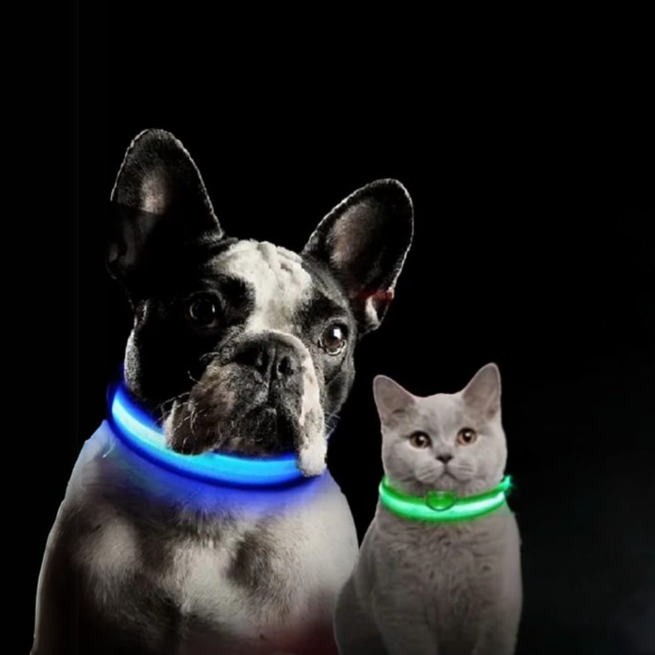 LED Dog Collar Nylon Glow in the Dark – Flashing Safety Pet Accessory for Dogs