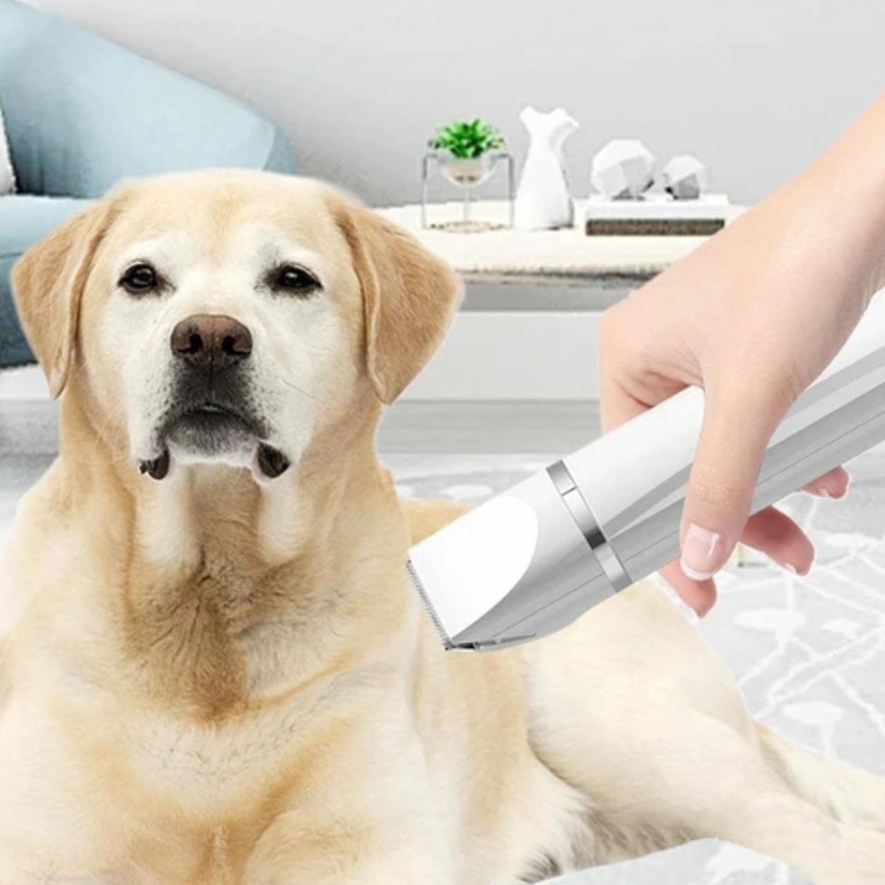 Pet Grooming Kit – Low Noise Rechargeable Dog Hair Clipper