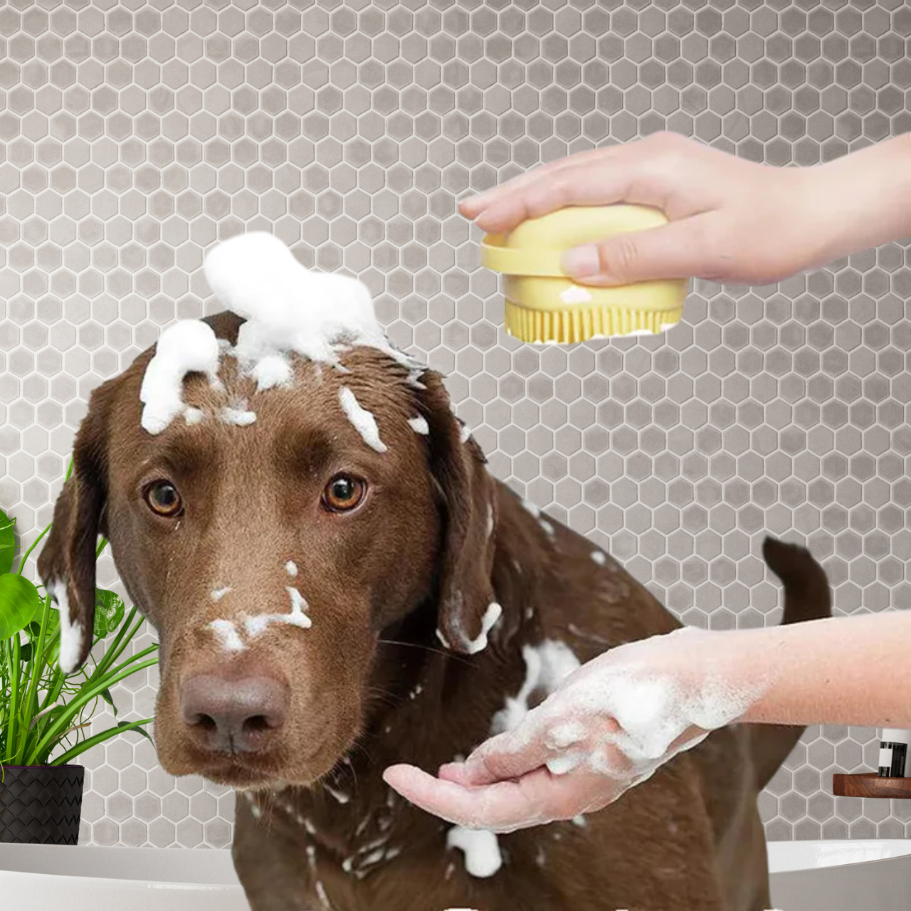 Dog Bath Massage Gloves – Pet Grooming Brush with Shampoo Dispenser