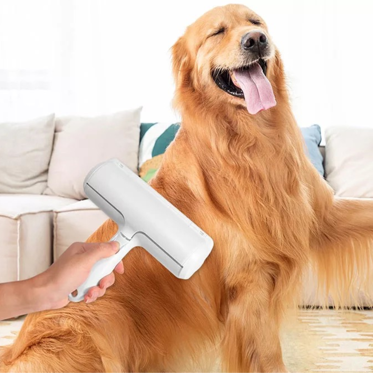 Pet Hair Dryer 2-in-1 & Slicker Brush – Professional Grooming Tool for Cats & Dogs