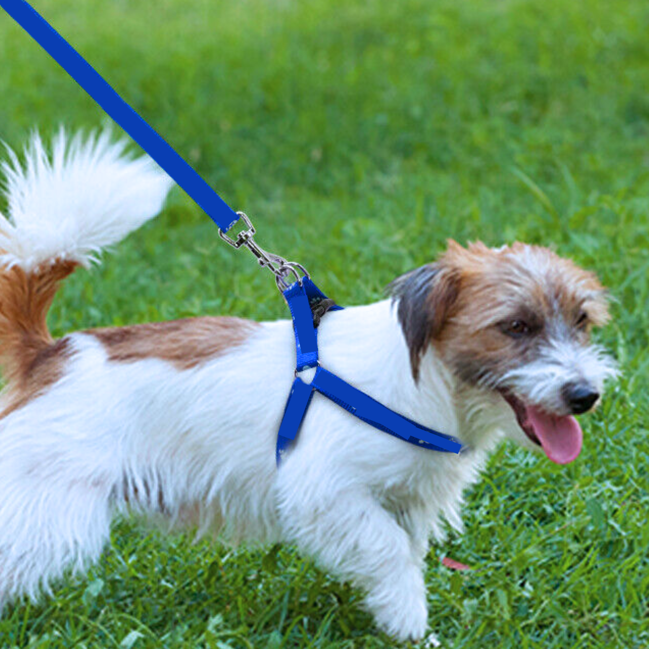 Dog Leash – Heavy Duty, Padded Handle, Double Traction for Strong Dogs
