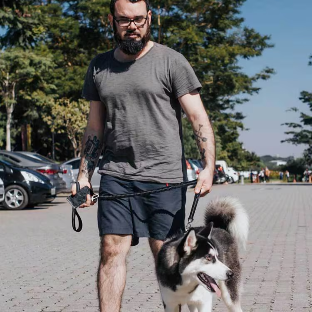 Dog Leash – No-Pull, Reflective, Shock-Absorbing, Tactical Bungee