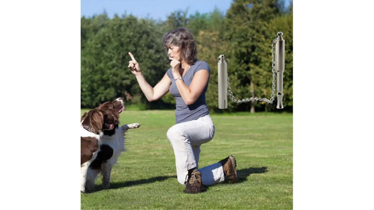 Adjustable Ultrasonic Dog Training Whistle – Silent Recall & Obedience Tool