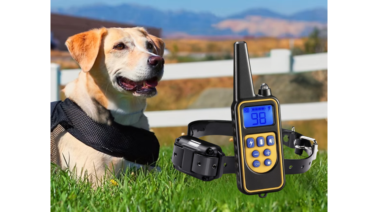 Dog Training Collar with 99 Levels, Beep, Vibration & Shock Modes, LCD Display