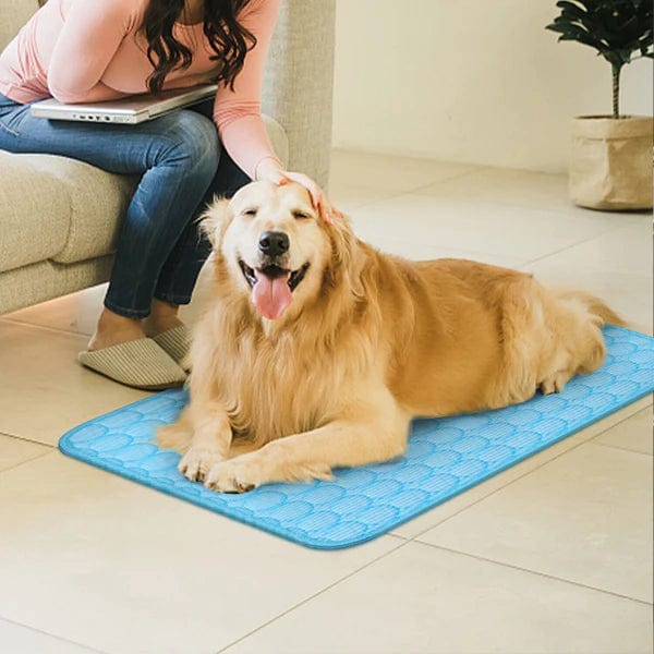 Dog Cooling Mat – Extra Large Summer Bed for Small & Big Dogs