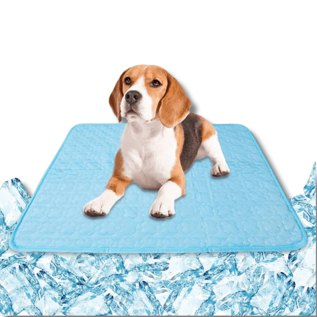 Dog Cooling Mat – Extra Large Summer Bed for Small & Big Dogs