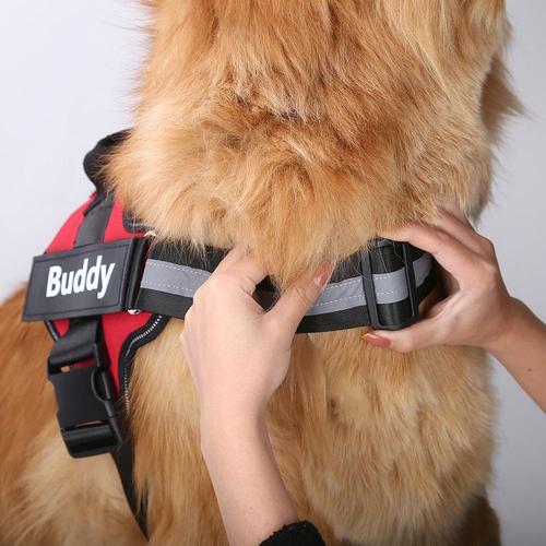 Custom No-Pull Reflective Dog Harness – Breathable Pet Vest for Small & Large Dogs