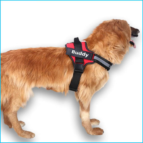 Custom No-Pull Reflective Dog Harness – Breathable Pet Vest for Small & Large Dogs