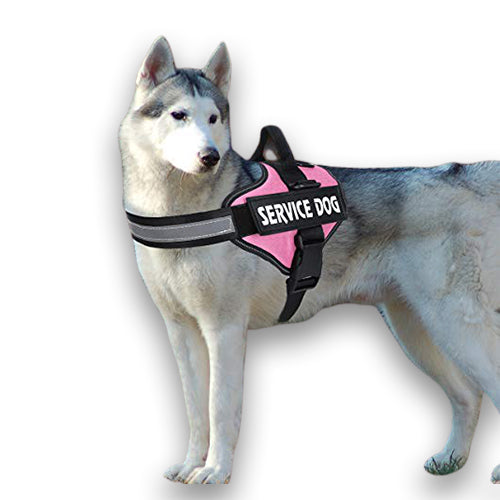 Custom No-Pull Reflective Dog Harness – Breathable Pet Vest for Small & Large Dogs