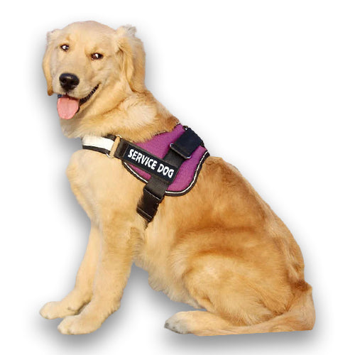 Custom No-Pull Reflective Dog Harness – Breathable Pet Vest for Small & Large Dogs