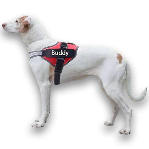Custom No-Pull Reflective Dog Harness – Breathable Pet Vest for Small & Large Dogs