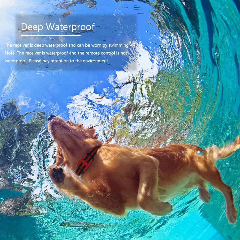 Dog Training Collar – Waterproof, Rechargeable, Remote Control, Shock & Vibration