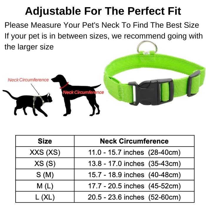 LED Dog Collar Nylon Glow in the Dark – Flashing Safety Pet Accessory for Dogs