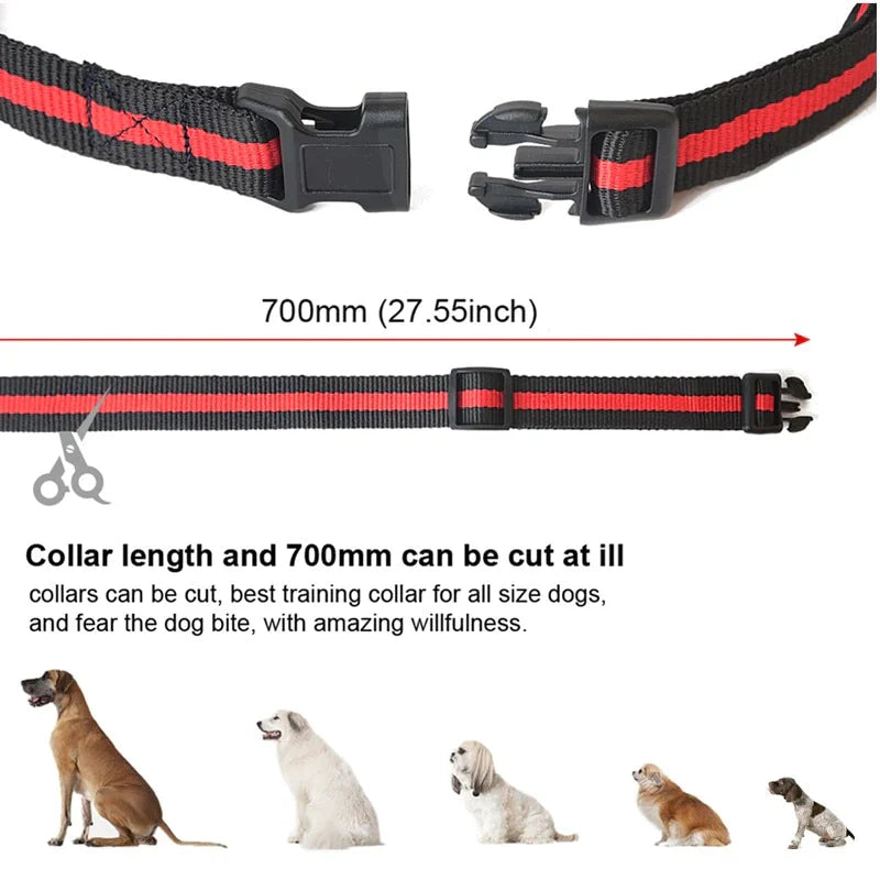 Dog Training Collar – Waterproof, Rechargeable, Remote Control, Shock & Vibration
