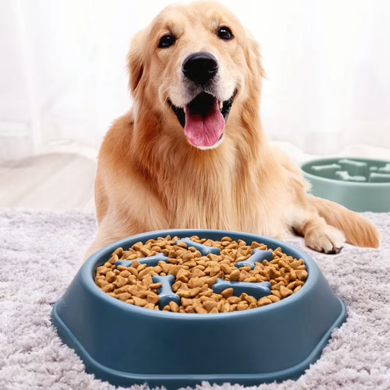 Anti-Choking Slow Feeder Bowl for Dogs – Anti-Gulp Design